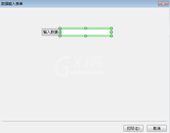 BarTender设置手动输入数据的操作步骤截图