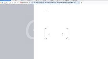 wps文字输入大括号小括号的简单操作截图