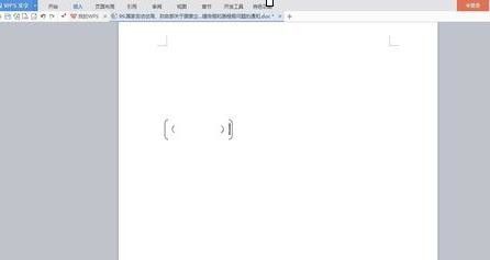 wps文字输入大括号小括号的简单操作截图