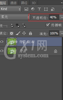 Adobe Photoshop CS6为草地打造亮丽颜色的详细操作截图