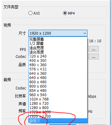 Bandicam的详细使用操作讲解截图