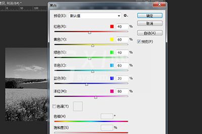 Photoshop将照片弄成黑白照的具体操作截图