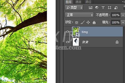 Photoshop制作双重曝光的详细操作方法截图