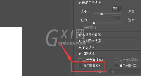 Photoshop出现液化窗口不显示图片的具体处理截图