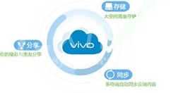 vivo云找回密码的具体操作