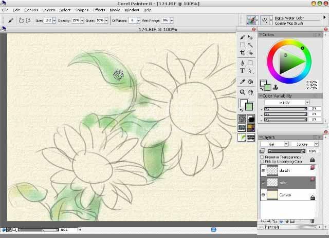 painter8绘画水彩效果向日葵的详细使用方法截图