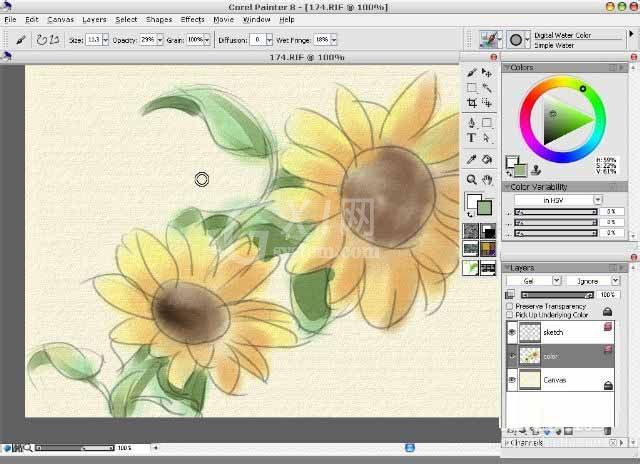 painter8绘画水彩效果向日葵的详细使用方法截图