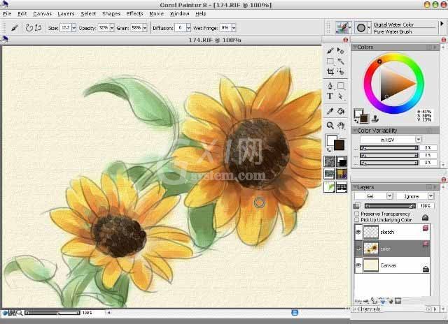 painter8绘画水彩效果向日葵的详细使用方法截图