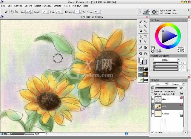 painter8绘画水彩效果向日葵的详细使用方法截图