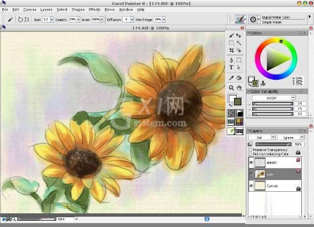 painter8绘画水彩效果向日葵的详细使用方法截图