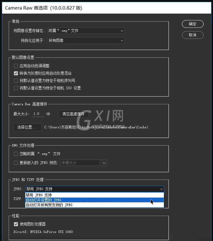 Photoshop中出现Camera Raw无法批量处理照片的相关操作方法截图