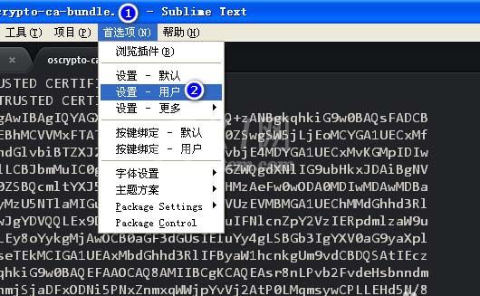 sublime text设置禁止打开上次关闭未退出文件的处理操作截图