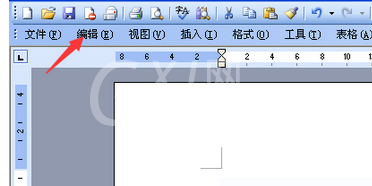 office2003中查找字符的详细操作教程截图