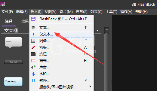 BB FlashBack给视频添加字幕的相关操作教程截图