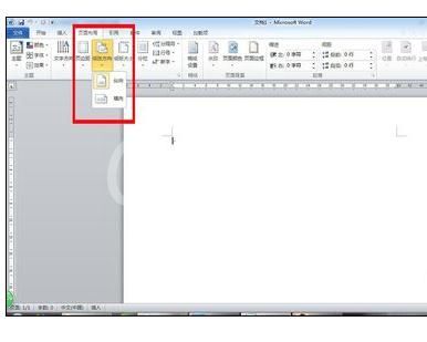 Word2010调整页面的详细操作步骤截图