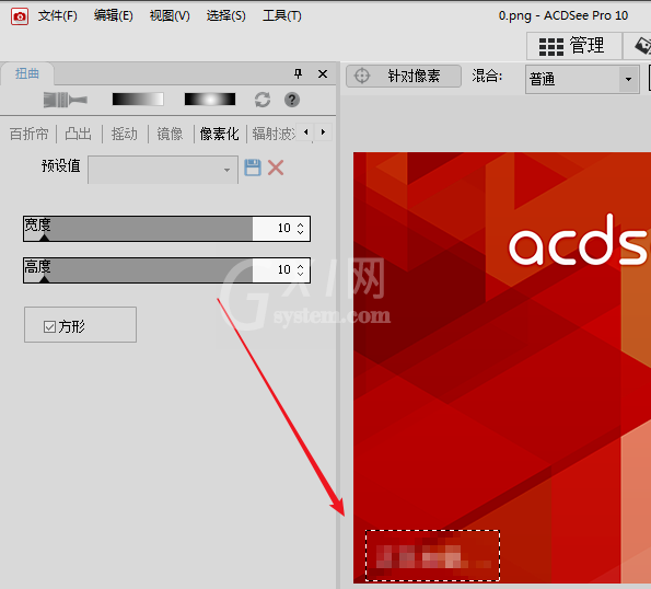 ACDSee在图片上加马赛克的具体使用教程截图