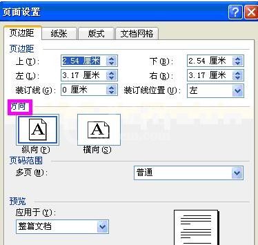 word2003页面设置的使用教程截图