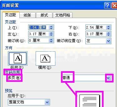 word2003页面设置的使用教程截图