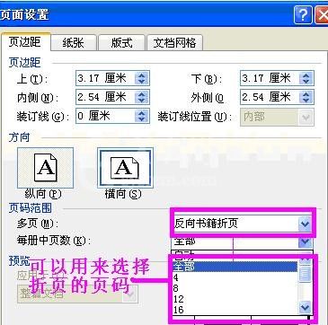 word2003页面设置的使用教程截图