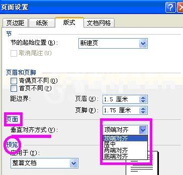 word2003页面设置的使用教程截图