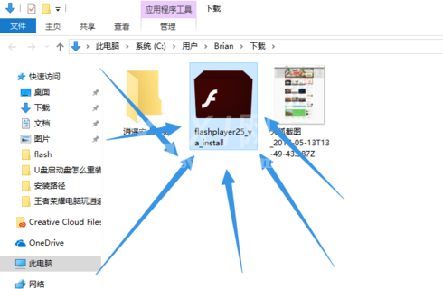 flash插件进行安装使用教程截图