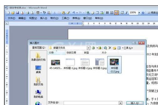 Word2003中文档图片进行随意排版的操作教程截图