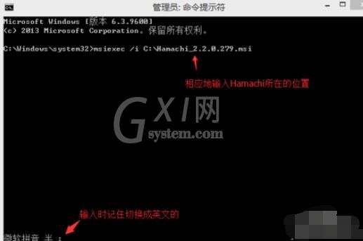 hamachi蛤蟆吃安装时出现2503、2502错误的处理方法截图