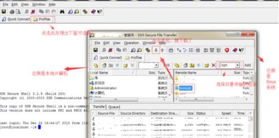 SSH Secure Shell工具从linux中导出文件的操作方法截图