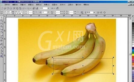 使用CorelDraw制作逼真香蕉图形的具体步骤截图