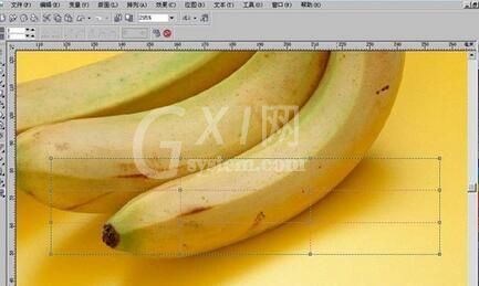 使用CorelDraw制作逼真香蕉图形的具体步骤截图