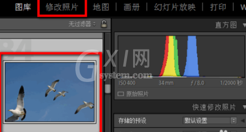 lightroom中使用污点去除功能的详细使用教程截图