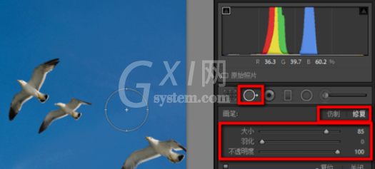 lightroom中使用污点去除功能的详细使用教程截图