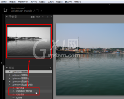 lightroom中使用预设的详细操作教程截图