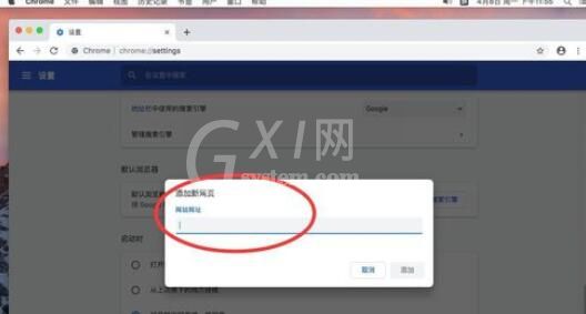 谷歌浏览器Mac版设置主页首页的具体操作截图