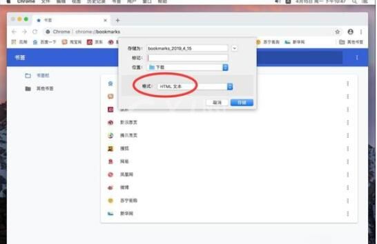 谷歌浏览器Mac版导出书签的操作流程截图