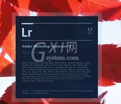 Lightroom Mac版制作出胶片效果的详细使用步骤截图