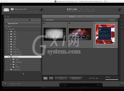 Lightroom Mac版制作出胶片效果的详细使用步骤截图