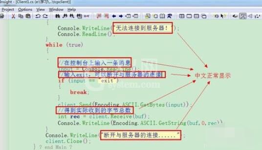 source insight中文乱码的处理方法截图