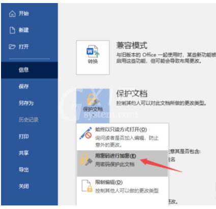 Word2019设置文档保护的操作步骤截图