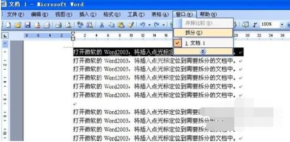 word2003拆分窗口的操作步骤截图