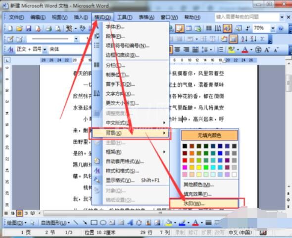 word2003文档添加水印的方法介绍截图