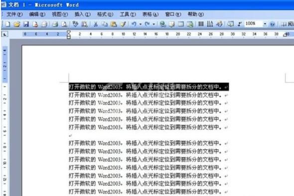 word2003拆分窗口的操作步骤截图