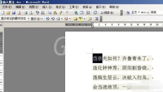 word2003中插入批注的方法截图