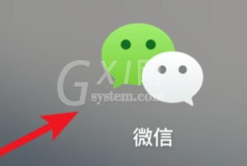 微信mac查看群公告的步骤截图