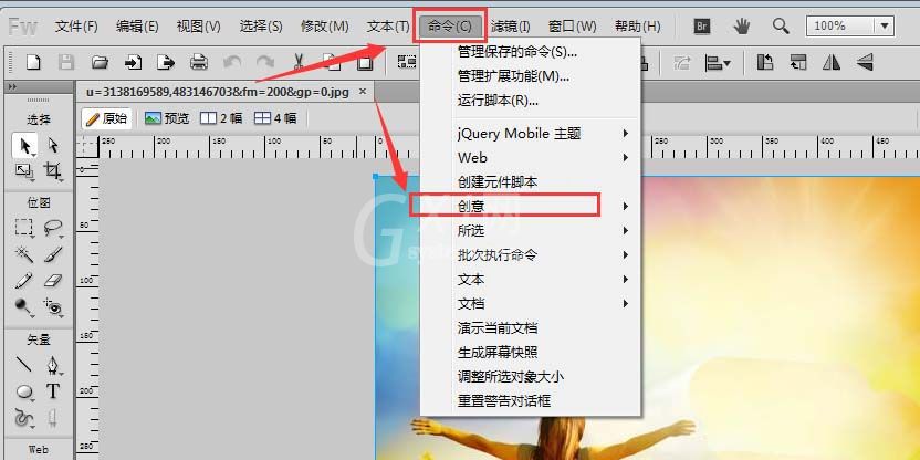 fireworks把彩色图片转为黑白色的相关操作方法截图