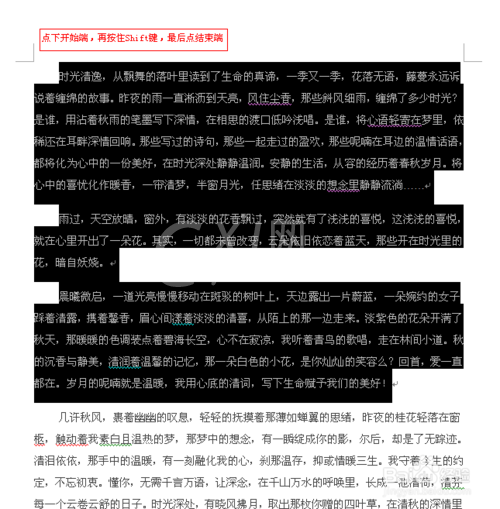 Word软件选定文本的简单操作教程截图