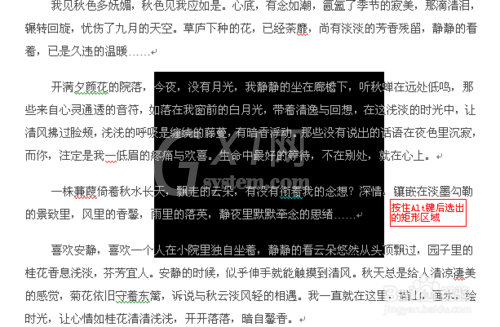 Word软件选定文本的简单操作教程截图