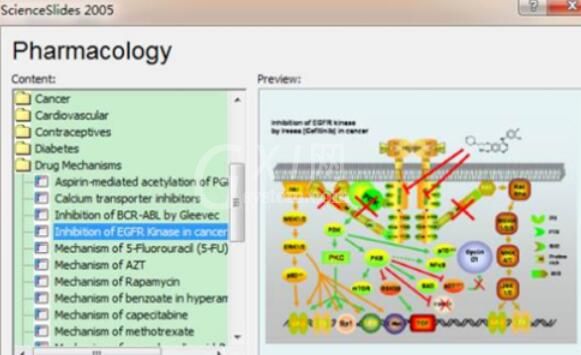 ScienceSlides设计药物信号通路图的步骤截图