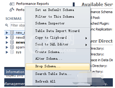 MySQL Workbench删除数据库实例的操作方法截图