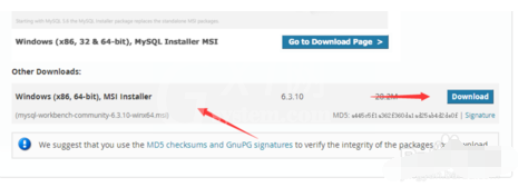 MySQL Workbench进行下载的操作过程截图